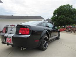 2007 Ford Mustang Shelby GT (CC-2074406) for sale in Stoughton, Wisconsin