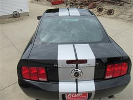 2007 Ford Mustang Shelby GT (CC-2074406) for sale in Stoughton, Wisconsin