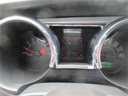 2007 Ford Mustang Shelby GT (CC-2074406) for sale in Stoughton, Wisconsin