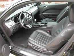 2007 Ford Mustang Shelby GT (CC-2074406) for sale in Stoughton, Wisconsin