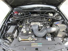 2007 Ford Mustang Shelby GT (CC-2074406) for sale in Stoughton, Wisconsin