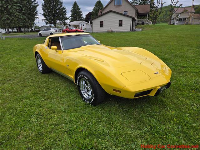 1979 Chevrolet Corvette (CC-2074423) for sale in MARTINSBURG, Pennsylvania