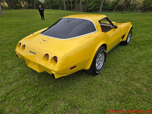 1979 Chevrolet Corvette (CC-2074423) for sale in MARTINSBURG, Pennsylvania