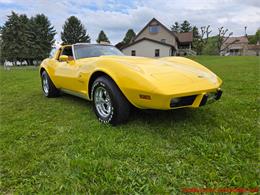 1979 Chevrolet Corvette (CC-2074423) for sale in MARTINSBURG, Pennsylvania