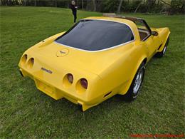 1979 Chevrolet Corvette (CC-2074423) for sale in MARTINSBURG, Pennsylvania