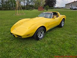 1979 Chevrolet Corvette (CC-2074423) for sale in MARTINSBURG, Pennsylvania