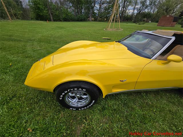 1979 Chevrolet Corvette (CC-2074423) for sale in MARTINSBURG, Pennsylvania