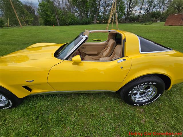 1979 Chevrolet Corvette (CC-2074423) for sale in MARTINSBURG, Pennsylvania