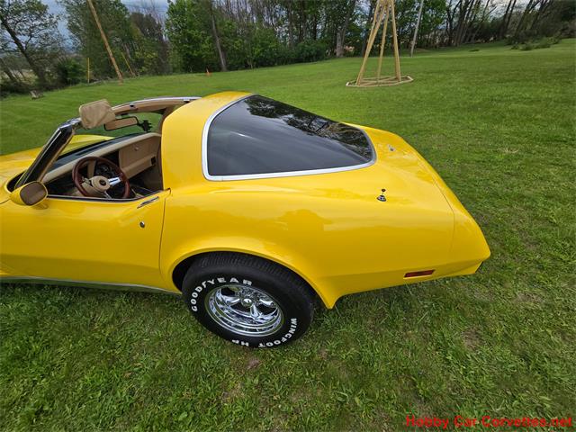 1979 Chevrolet Corvette (CC-2074423) for sale in MARTINSBURG, Pennsylvania