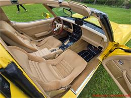 1979 Chevrolet Corvette (CC-2074423) for sale in MARTINSBURG, Pennsylvania