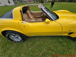 1979 Chevrolet Corvette (CC-2074423) for sale in MARTINSBURG, Pennsylvania