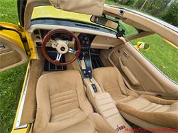 1979 Chevrolet Corvette (CC-2074423) for sale in MARTINSBURG, Pennsylvania