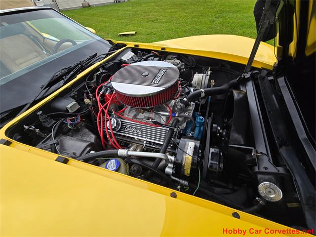 1979 Chevrolet Corvette (CC-2074423) for sale in MARTINSBURG, Pennsylvania