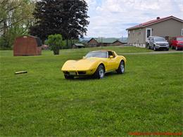 1979 Chevrolet Corvette (CC-2074423) for sale in MARTINSBURG, Pennsylvania