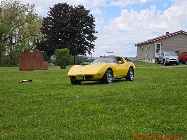 1979 Chevrolet Corvette (CC-2074423) for sale in MARTINSBURG, Pennsylvania