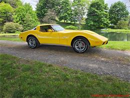 1979 Chevrolet Corvette (CC-2074423) for sale in MARTINSBURG, Pennsylvania