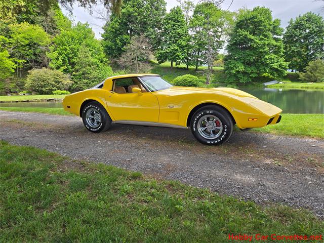 1979 Chevrolet Corvette (CC-2074423) for sale in MARTINSBURG, Pennsylvania