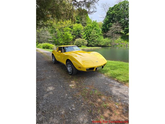 1979 Chevrolet Corvette (CC-2074423) for sale in MARTINSBURG, Pennsylvania
