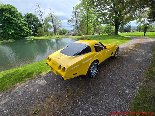 1979 Chevrolet Corvette (CC-2074423) for sale in MARTINSBURG, Pennsylvania