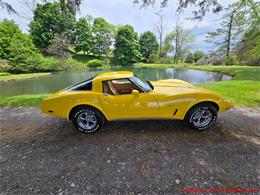 1979 Chevrolet Corvette (CC-2074423) for sale in MARTINSBURG, Pennsylvania