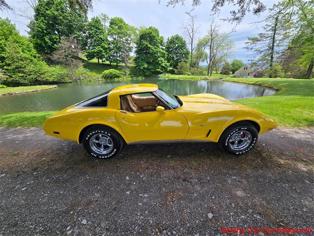 1979 Chevrolet Corvette (CC-2074423) for sale in MARTINSBURG, Pennsylvania