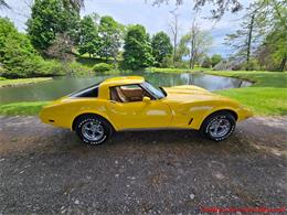 1979 Chevrolet Corvette (CC-2074423) for sale in MARTINSBURG, Pennsylvania