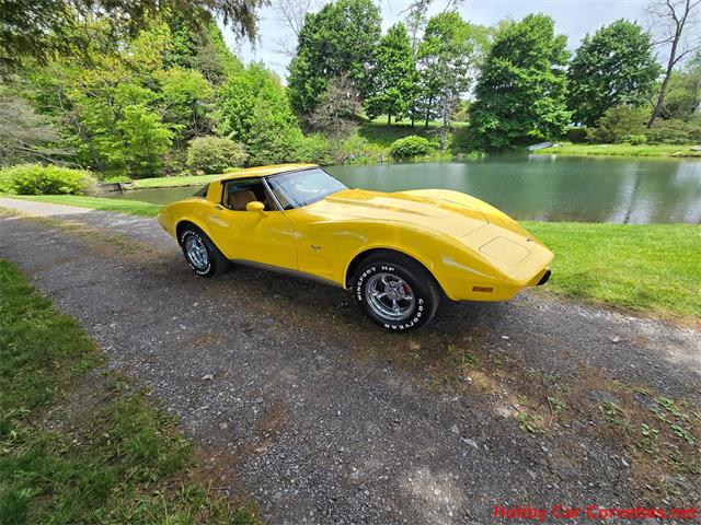 1979 Chevrolet Corvette (CC-2074423) for sale in MARTINSBURG, Pennsylvania