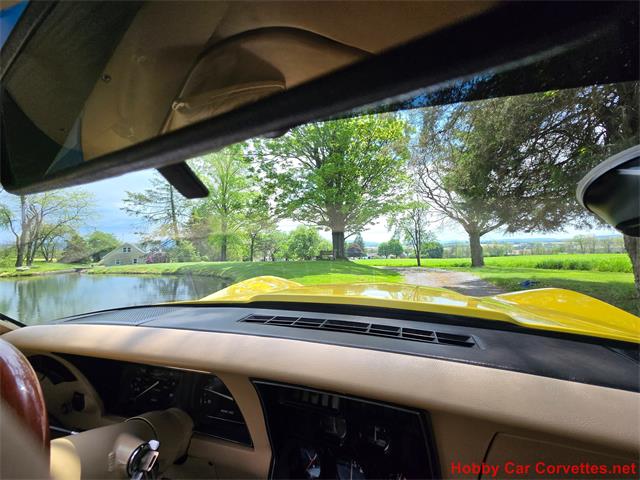 1979 Chevrolet Corvette (CC-2074423) for sale in MARTINSBURG, Pennsylvania