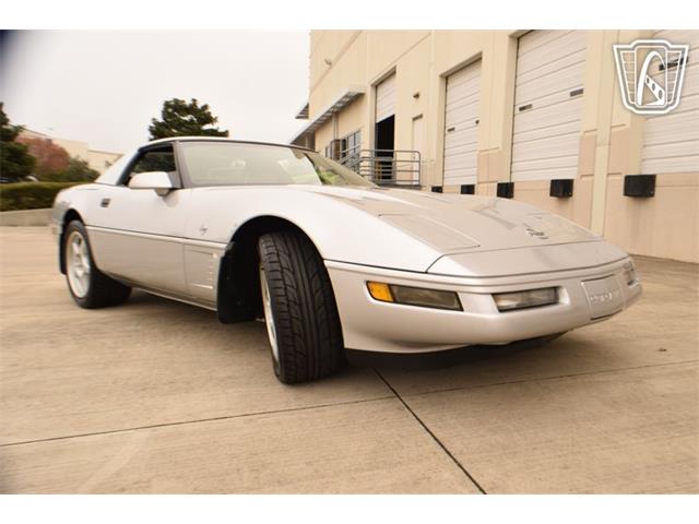 1996 Chevrolet Corvette (CC-2074482) for sale in Houston, Texas