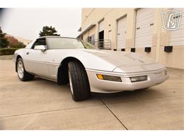 1996 Chevrolet Corvette (CC-2074482) for sale in Houston, Texas