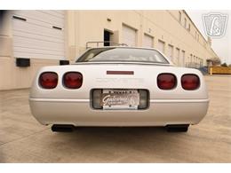 1996 Chevrolet Corvette (CC-2074482) for sale in Houston, Texas