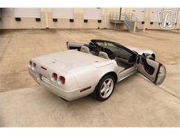 1996 Chevrolet Corvette (CC-2074482) for sale in Houston, Texas