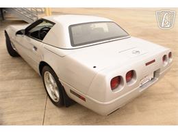 1996 Chevrolet Corvette (CC-2074482) for sale in Houston, Texas