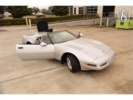 1996 Chevrolet Corvette (CC-2074482) for sale in Houston, Texas