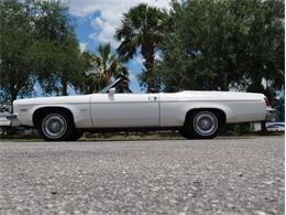 1975 Oldsmobile Delta 88 (CC-2074500) for sale in Palmetto, Florida