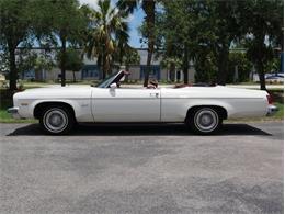 1975 Oldsmobile Delta 88 (CC-2074500) for sale in Palmetto, Florida
