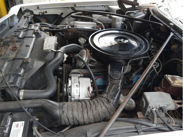 1975 Oldsmobile Delta 88 (CC-2074500) for sale in Palmetto, Florida