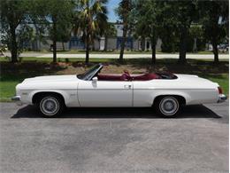 1975 Oldsmobile Delta 88 (CC-2074500) for sale in Palmetto, Florida