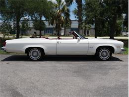1975 Oldsmobile Delta 88 (CC-2074500) for sale in Palmetto, Florida