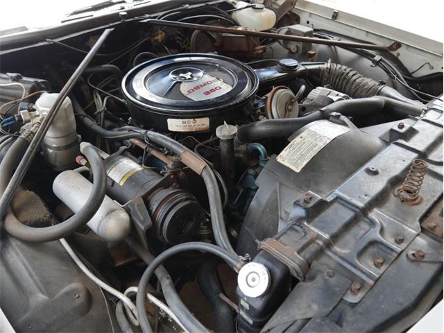 1975 Oldsmobile Delta 88 (CC-2074500) for sale in Palmetto, Florida