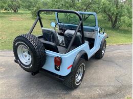 1979 Jeep CJ5 (CC-2074509) for sale in Fredericksburg, Texas