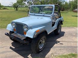 1979 Jeep CJ5 (CC-2074509) for sale in Fredericksburg, Texas