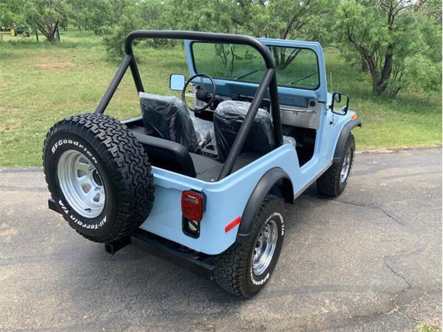 1979 Jeep CJ5 (CC-2074509) for sale in Fredericksburg, Texas