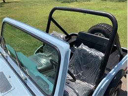 1979 Jeep CJ5 (CC-2074509) for sale in Fredericksburg, Texas