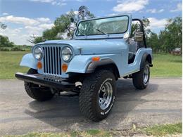 1979 Jeep CJ5 (CC-2074509) for sale in Fredericksburg, Texas