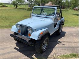 1979 Jeep CJ5 (CC-2074509) for sale in Fredericksburg, Texas