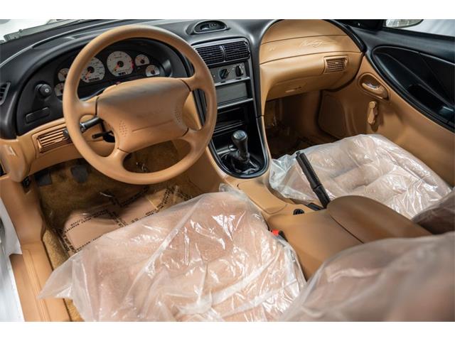 1995 Ford Mustang SVT Cobra (CC-2074524) for sale in Bristol, Pennsylvania
