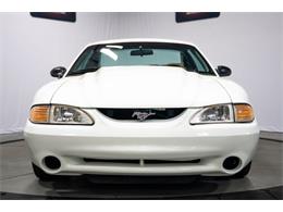 1995 Ford Mustang SVT Cobra (CC-2074524) for sale in Bristol, Pennsylvania