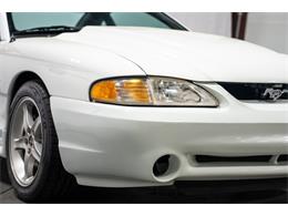 1995 Ford Mustang SVT Cobra (CC-2074524) for sale in Bristol, Pennsylvania
