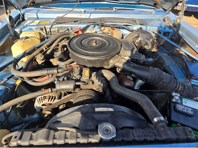 1979 Dodge Diplomat (CC-2074534) for sale in Cadillac, Michigan